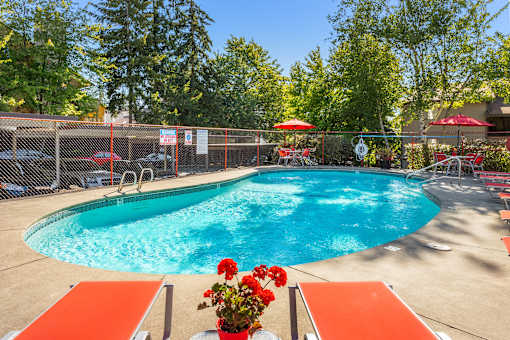 A pool surrounded by trees and chairs.