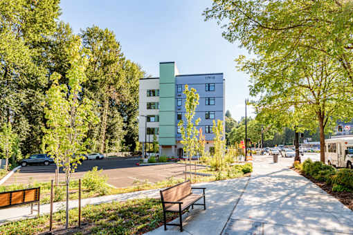 A tree-lined street with a bench and a building in the background.