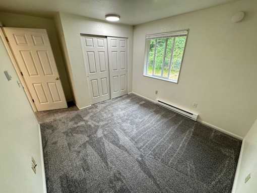 A room with a grey carpet and a window showing greenery outside.