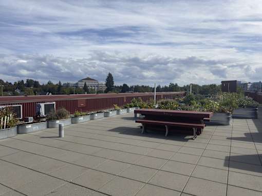A large open area with benches and a building in the distance.