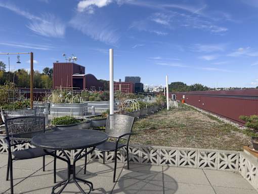 A table and chairs are set up on a patio.