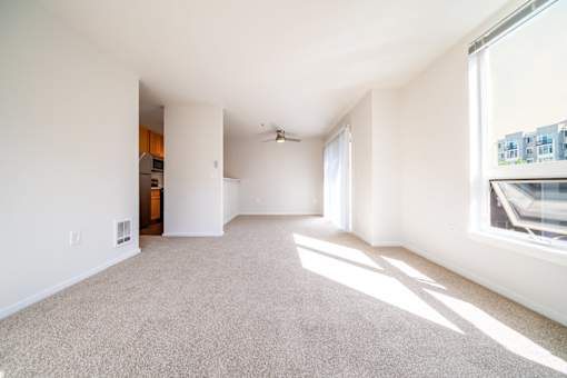A spacious room with a carpeted floor and a window letting in sunlight.