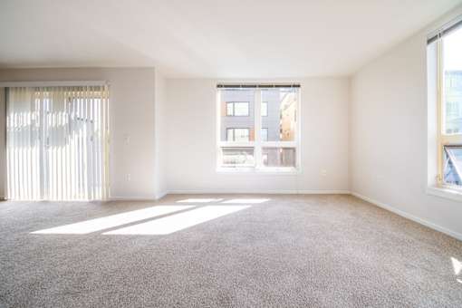 A large empty room with a carpeted floor and a window with blinds.