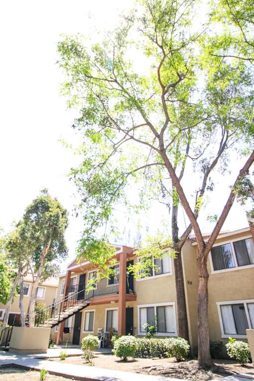 A tree in front of a building with a yellow house.