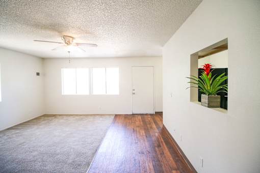 A room with a ceiling fan and a carpeted floor.