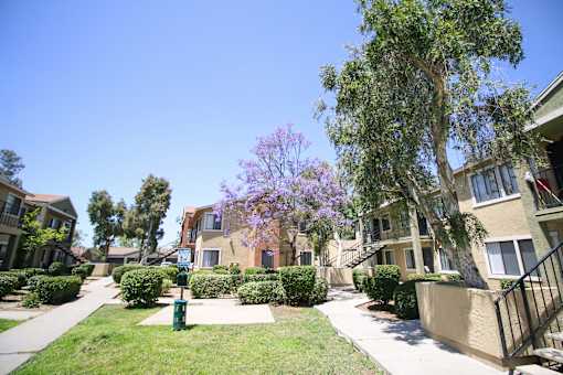 A row of houses with a tree in front of them.