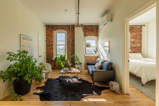 a living room with a couch and a bed in a bedroom