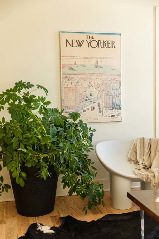a bathroom with a potted plant and a poster on the wall