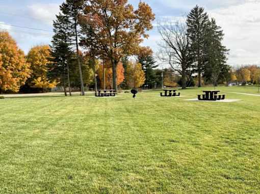 A park with a green lawn and trees with autumn leaves.