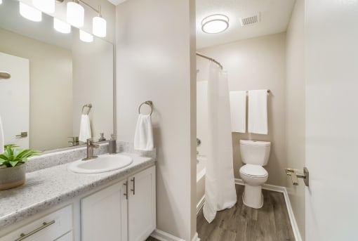 Bathroom at The Luxe of Southaven, Southaven, Mississippi