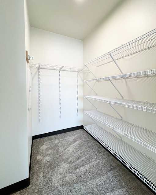 Empty walk in closet with shelves and carpet.