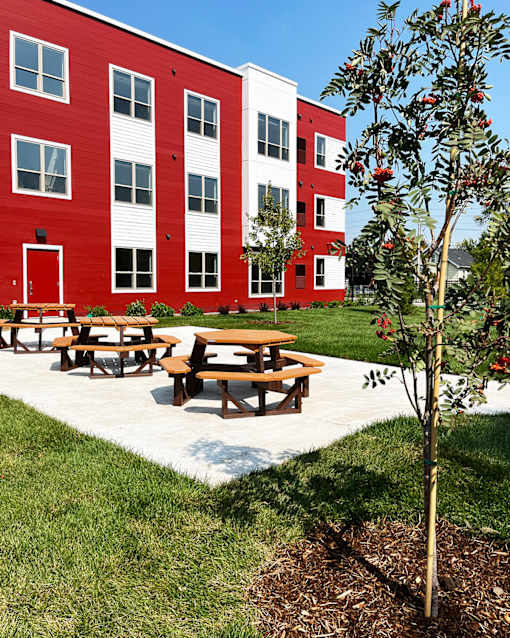A tree with red flowers is planted in front of a red and white building.