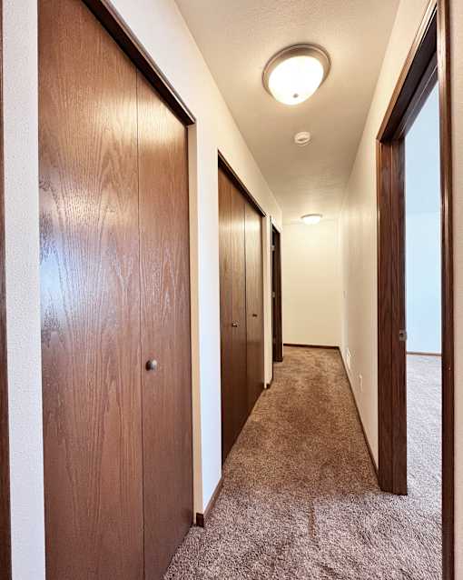 A long hallway with brown carpeting and wood paneling.