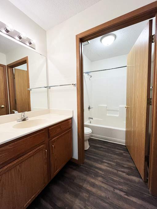 a bathroom with a toilet and a sink and a mirror