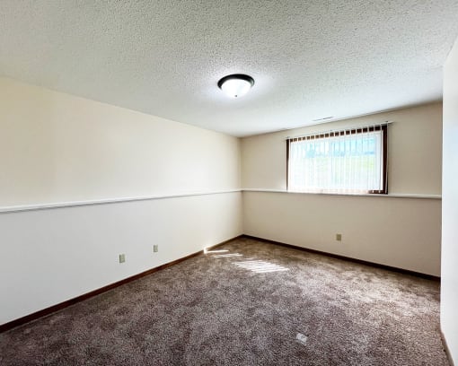 an empty living room with carpet and a window
