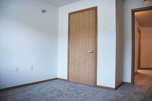 A room with a brown door and carpet.