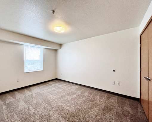 A room with a carpeted floor and a window.