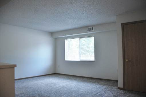 A room with a carpeted floor, a window with blinds, and a wooden door.