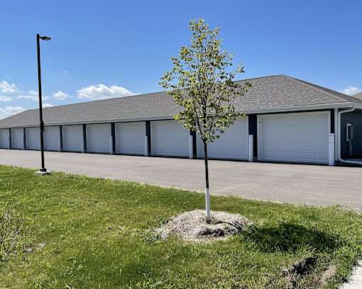 A tree stands in front of a building with a row of garage doors.