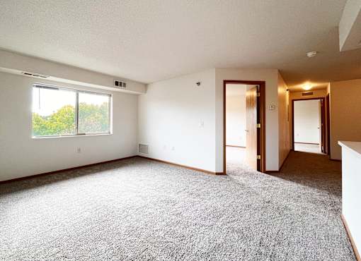 A room with a carpeted floor and a window letting in natural light.