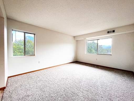 A room with a grey carpet and two windows.