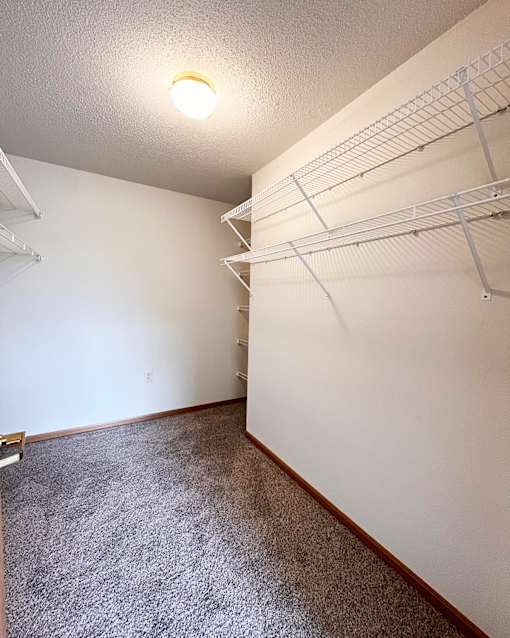 A room with a carpeted floor and a wall of shelves.