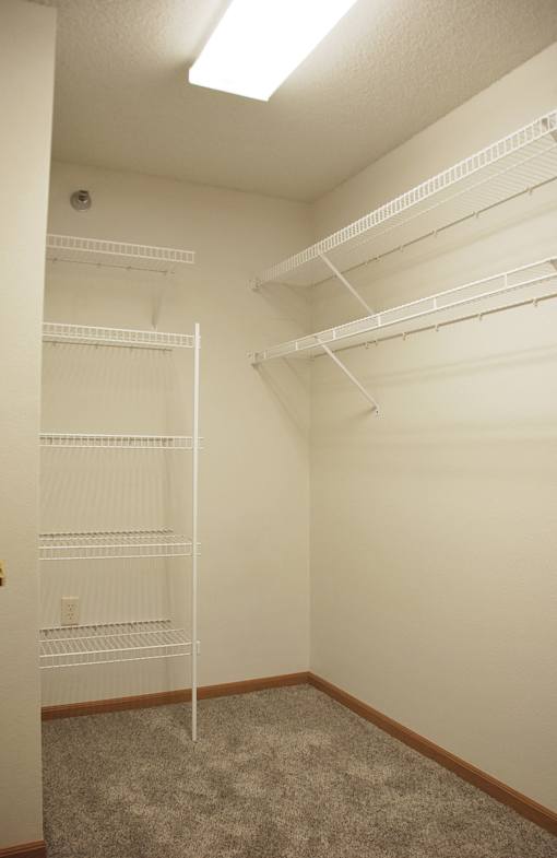 Empty room with white shelves and carpeted floor.