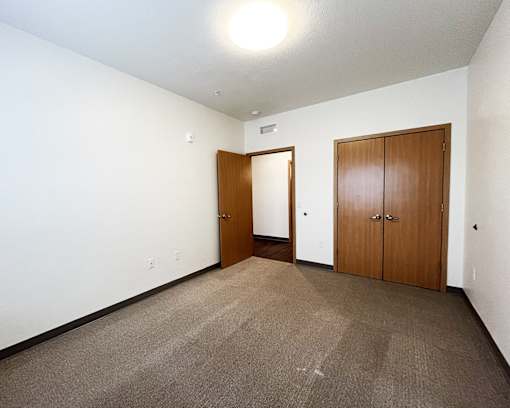 A room with two brown doors and carpeted floor.