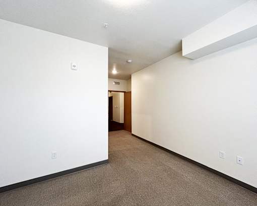 A white wall with a switchboard and a carpeted floor.
