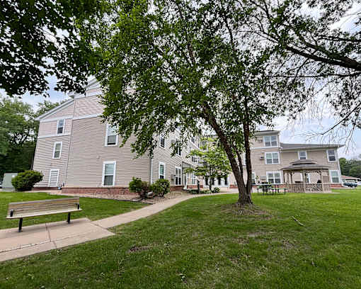 A large tree in front of a building with a bench in the foreground.