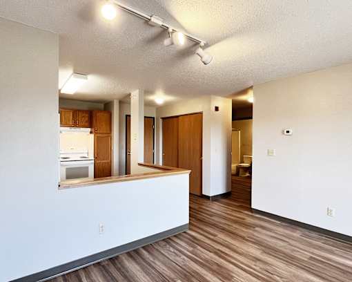 A kitchen area with a counter and cabinets.