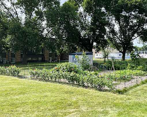 A garden with a fence and a building in the background.