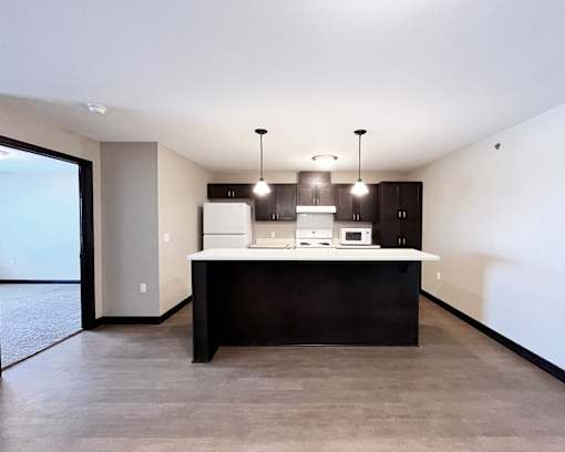 A modern kitchen with a black countertop and cabinets.