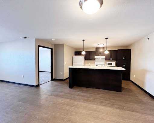 A kitchen area with a counter and cabinets.