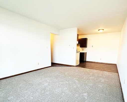 A room with a carpeted floor and a television on the wall.