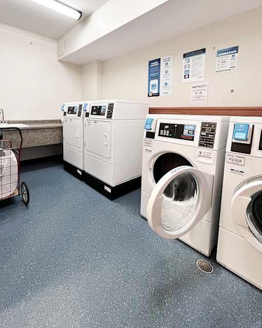 A laundromat with a row of washers and dryers.