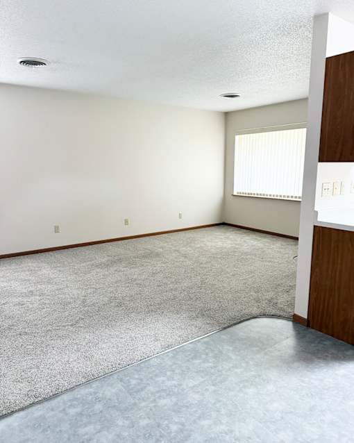 A room with a grey carpet and a window with blinds.