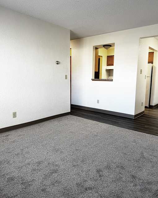 A room with a grey carpet and a mirror on the wall.