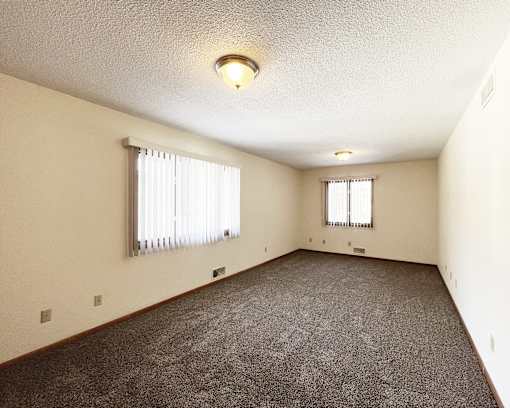 A spacious room with carpeted floor and two windows.