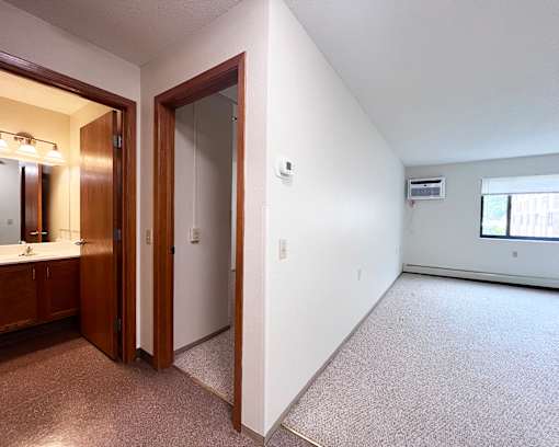 A large, empty room with a carpeted floor and a window.