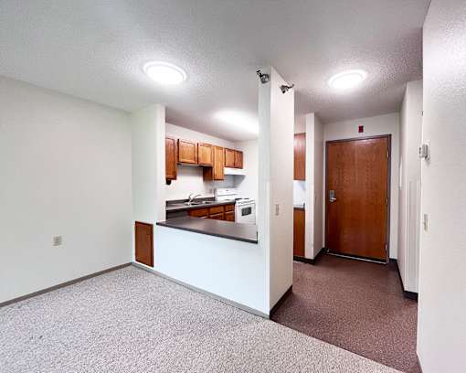 A kitchen area with a counter and cabinets.