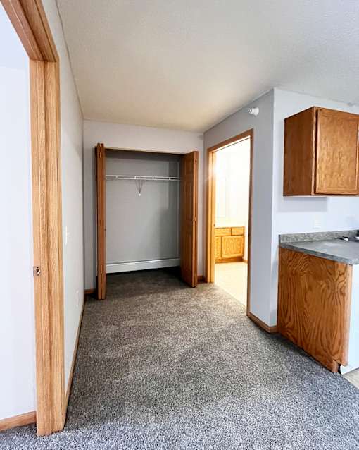 A room with a grey carpet and a white wall.