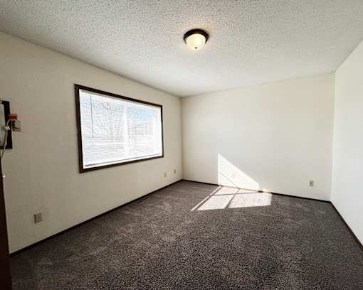 A room with a window and a carpet on the floor.