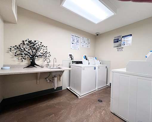 A room with a tree sculpture on the counter and a white cabinet.