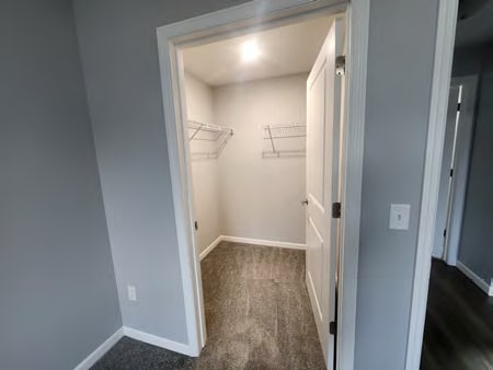 A white door is open to a small closet with a carpeted floor.