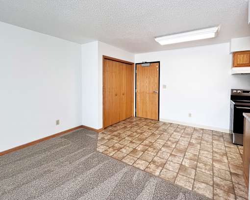 A room with a carpeted floor and two wooden doors.