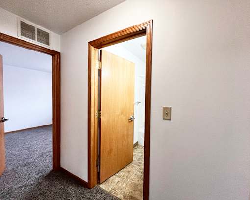 A room with a brown door and a carpet.