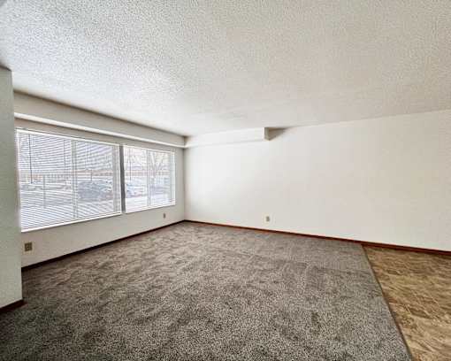 A room with a carpeted floor and a window with blinds.