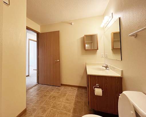 A bathroom with a toilet, sink, and mirror.