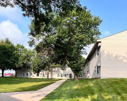 A tree in front of a building with a clear blue sky.
